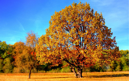 angebot-herbst.jpg